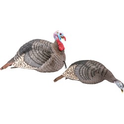 HS STRUT TURKEY DECOY COMBO