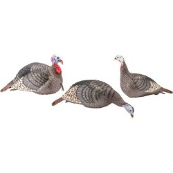 HS STRUT TURKEY DECOY FLOCK