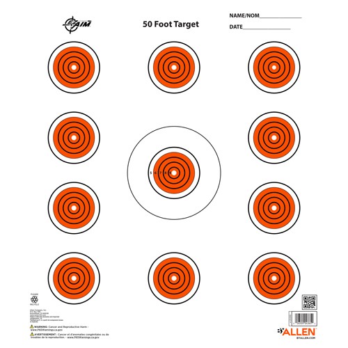 ALLEN EZ AIM 11 SPOT TARGET