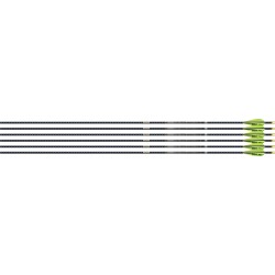 EASTON 4MM FMJ MATCH GRADE 300