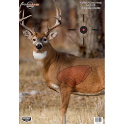 B/C TARGET PREGAME 16.5"X24"