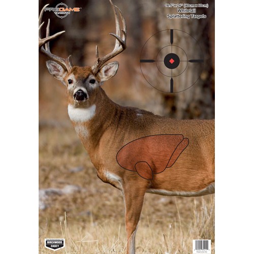 B/C TARGET PREGAME 16.5"X24"