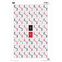 B/C TARGET EZE-SCORER 23"X35"