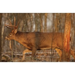 B/C TARGET EZE-SCORER 23"X35"