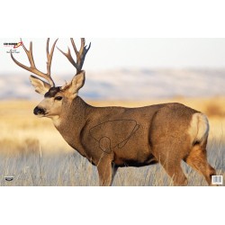 B/C TARGET EZE-SCORER 23"X35"