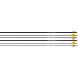 EASTON ARROW SONIC 6.0 300