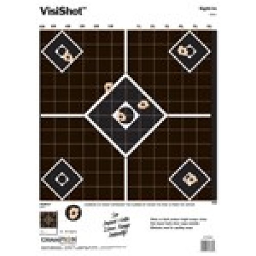 CHAMPION VISISHOT TARGET
