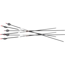EASTON ARROW FMJ 5MM 400