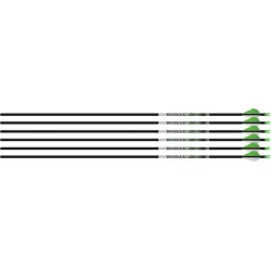 EASTON ARROW AXIS 5MM 400