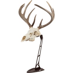 ALLEN EZ MOUNT CENTERPIECE