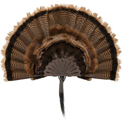 ALLEN EZ MOUNT TURKEY