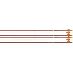EASTON ARROW FMJ 5MM 400 W/ 2"