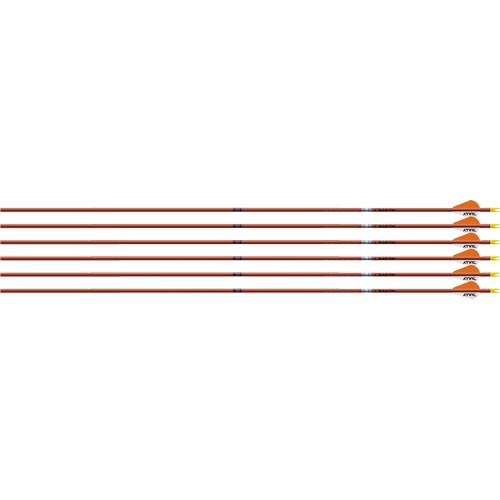 EASTON ARROW FMJ 5MM 400 W/ 2"