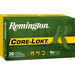 REMINGTON 450 BM 300GR