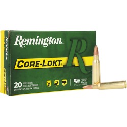 REMINGTON 250 SAVAGE 100GR