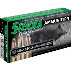 SIERRA GAMECHANGER 300 AAC