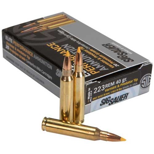 SIG 223 REM 40GR