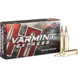 HORNADY VARMINT 6MM CM 87GR