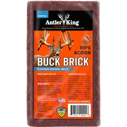 ANTLER KING RIPE ACORN BUCK