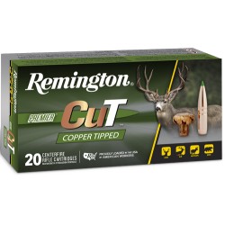 REMINGTON 300 WIN MAG 180GR