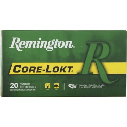 REMINGTON 243 WIN 100GR PSP