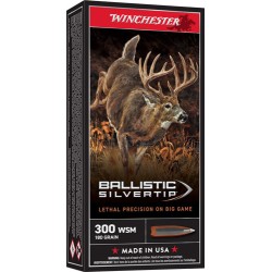 WINCHESTER SUPREME 300 WSM