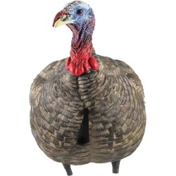 AVIAN X LCD QUARTER STRUT JAKE