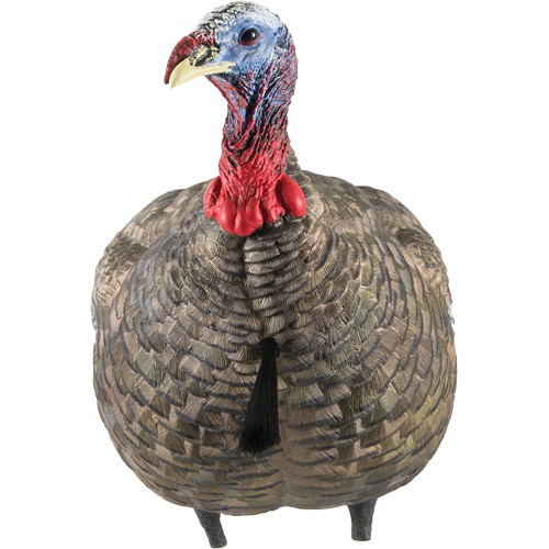 AVIAN X LCD QUARTER STRUT JAKE