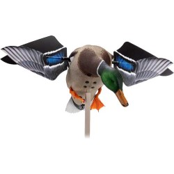 AVIAN X POWERFLIGHT SMART