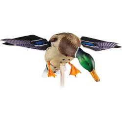 AVIAN X POWERFLIGHT SPINNING