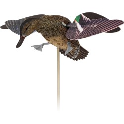 AVIAN X POWERFLIGHT SPINNING