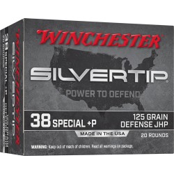 WINCHESTER SILVERTIP 38