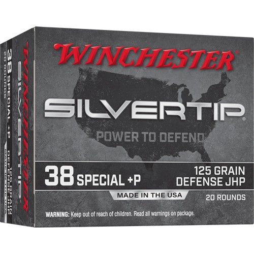 WINCHESTER SILVERTIP 38