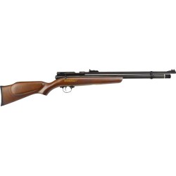 BEEMAN 1322 PCP CHIEF .22