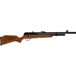 BEEMAN 1331 PCP RADIER .22 CAL