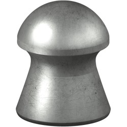 BENJAMIN 25 CAL PELLET 27.8GR
