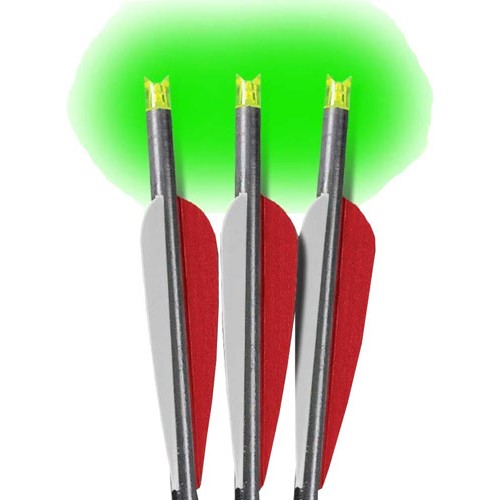 LUMENOK XBOW ARROW 22" BARNETT