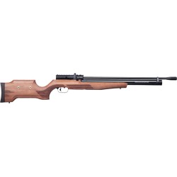 BENJAMIN PCP CAYDEN .22 CAL.