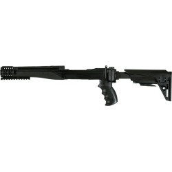 ADV. TECH. RUGER 10/22 STRIKE