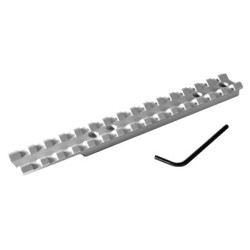 EGW SCOPE BASE RUGER 10-22