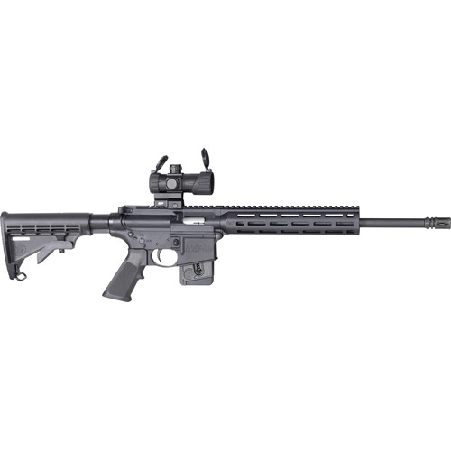 S&W M&P15-22 SPORT OR 22LR