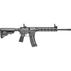 S&W M&P15-22 SPORT 22LR 16.5"