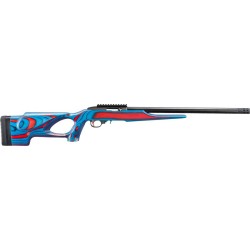 RUGER 10/22 USA SHOOTING 2024