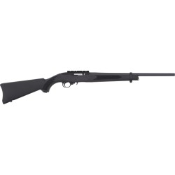 RUGER 10/22 CARBINE 22LR