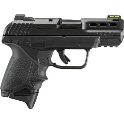 RUGER SECURITY 380ACP 10RD