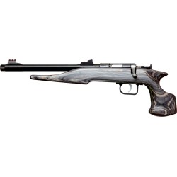 CHIPMUNK PISTOL HUNTER 22WMR