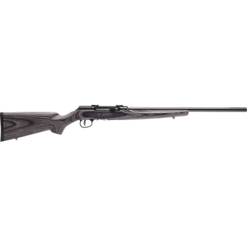 SAVAGE A17 17HMR SPORTER 22"