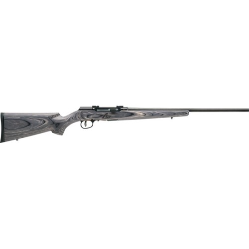 SAVAGE A17 17WSM SPORTER 22"