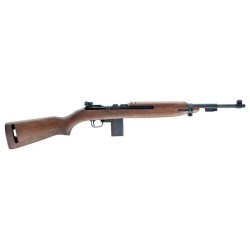CHIAPPA M1-22 22LR