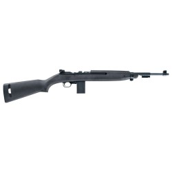CHIAPPA M1-22 22LR